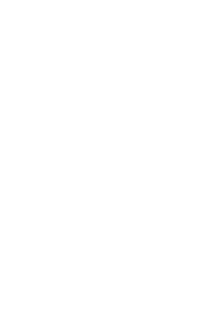 lftprice2